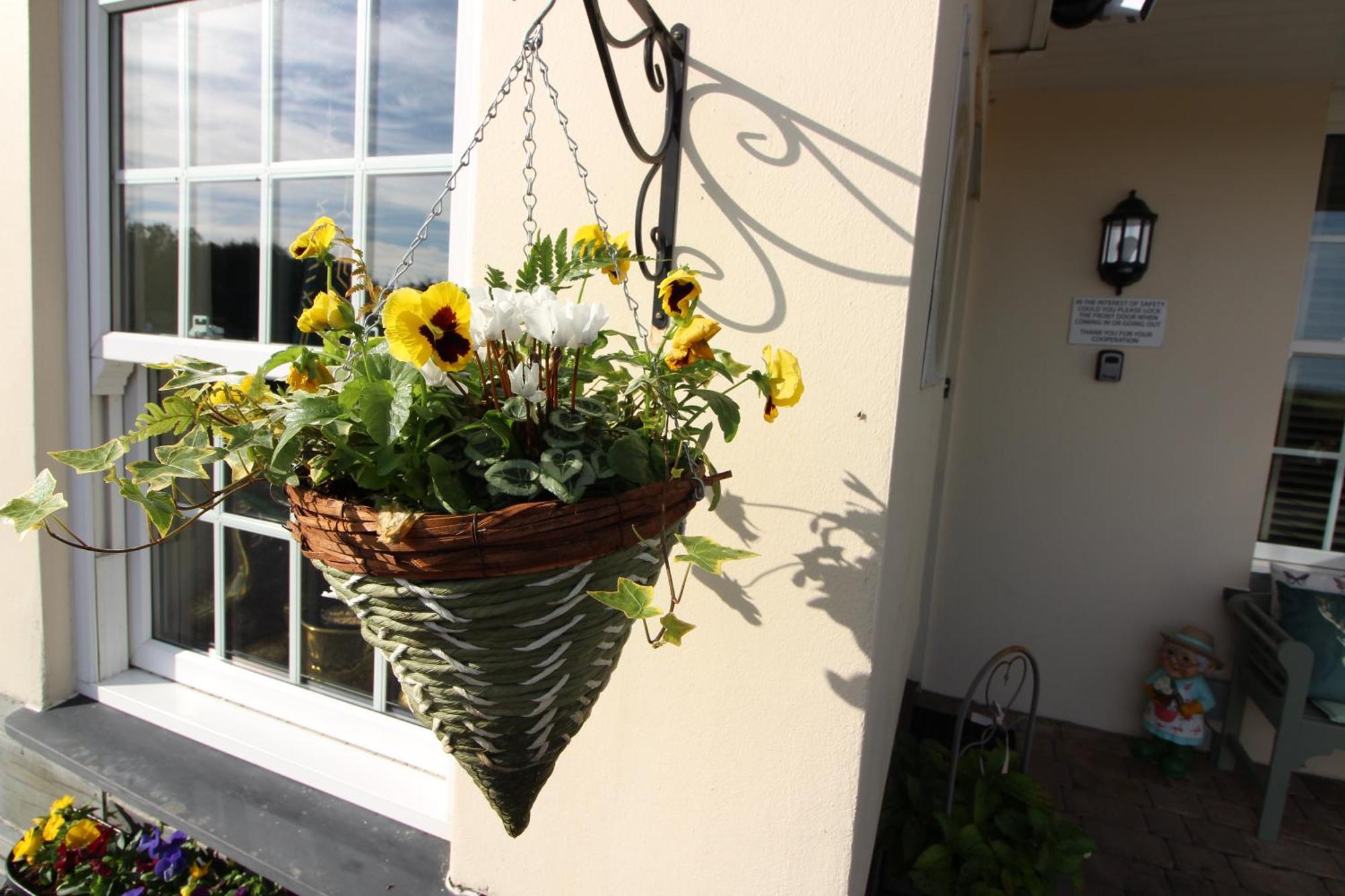 Melorne Farm Guest House คาเมลฟอร์ด ภายนอก รูปภาพ