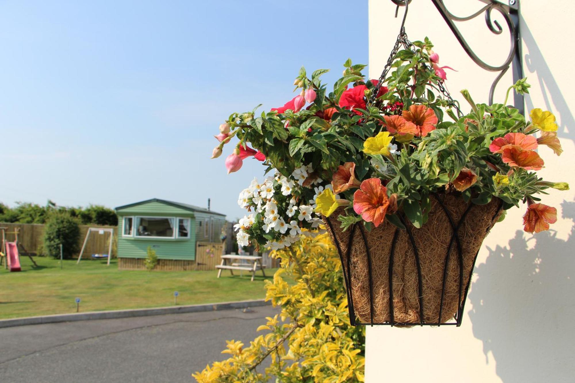 Melorne Farm Guest House คาเมลฟอร์ด ภายนอก รูปภาพ